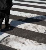 ¿Dónde sufren más accidentes de tráfico los peatones en España?